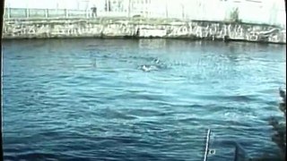 Swim for your life out of the GDR!