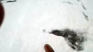 Neve a Pistoia 24 febbraio 2013