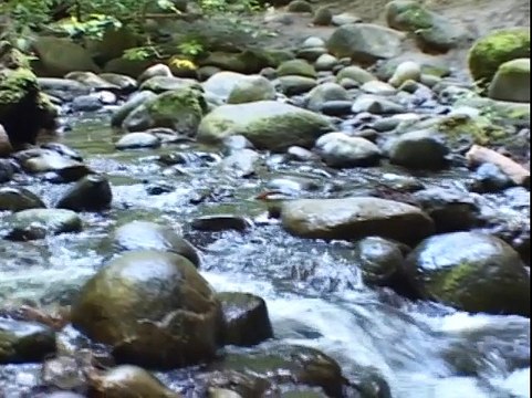 Упражнение Будда держит небеса