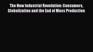 Read The New Industrial Revolution: Consumers Globalization and the End of Mass Production