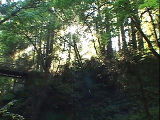 Упражнение "Бамбук, качающийся на ветру"