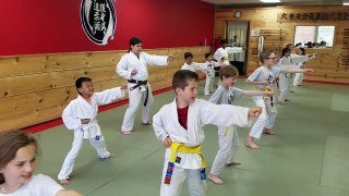 Popkin-Brogna Kids Martial Arts !! #workout #selfdefense #karate #pbjjc #jujitsu #awesome