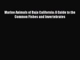 Read Books Marine Animals of Baja California: A Guide to the Common Fishes and Invertebrates