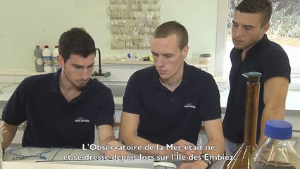 Paul Ricard Oceanography Institute 50 Years Supporting the Ocean: Tomorrow Starts Now