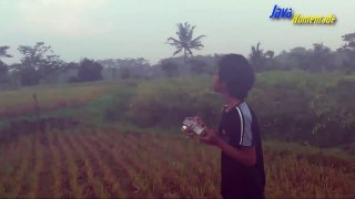 RC PESAWAT EXTRA-300 - RC PLANE AEROBATIC