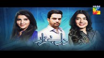 Dil E Beqarar Episode 10 Promo HUM TV Drama 8 June 2016