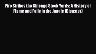 Read Book Fire Strikes the Chicago Stock Yards: A History of Flame and Folly in the Jungle