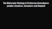 Download Books The Molecular Biology of Schizosaccharomyces pombe: Genetics Genomics and Beyond