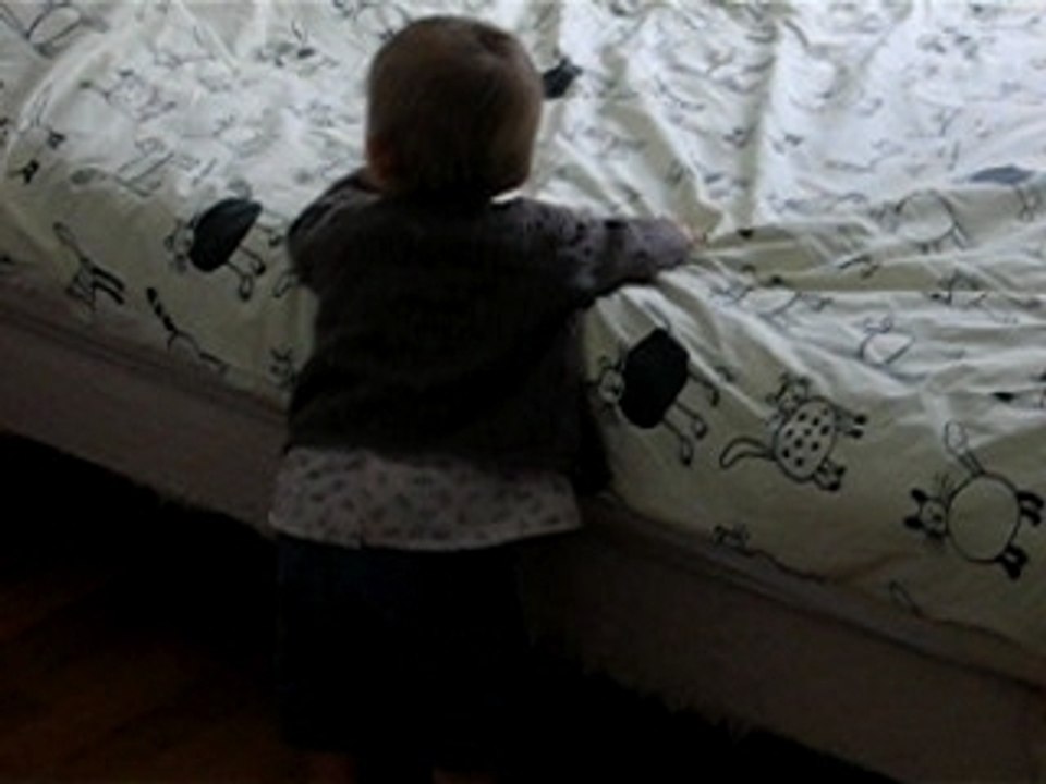 Enfin debout ! A la poursuite du chat ...