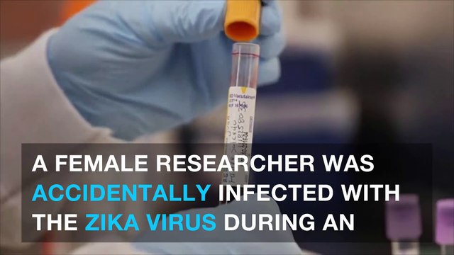 Researcher accidentally infects herself with Zika virus