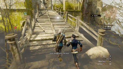 The Witcher 3 Dark Souls Bonfire Easter Egg