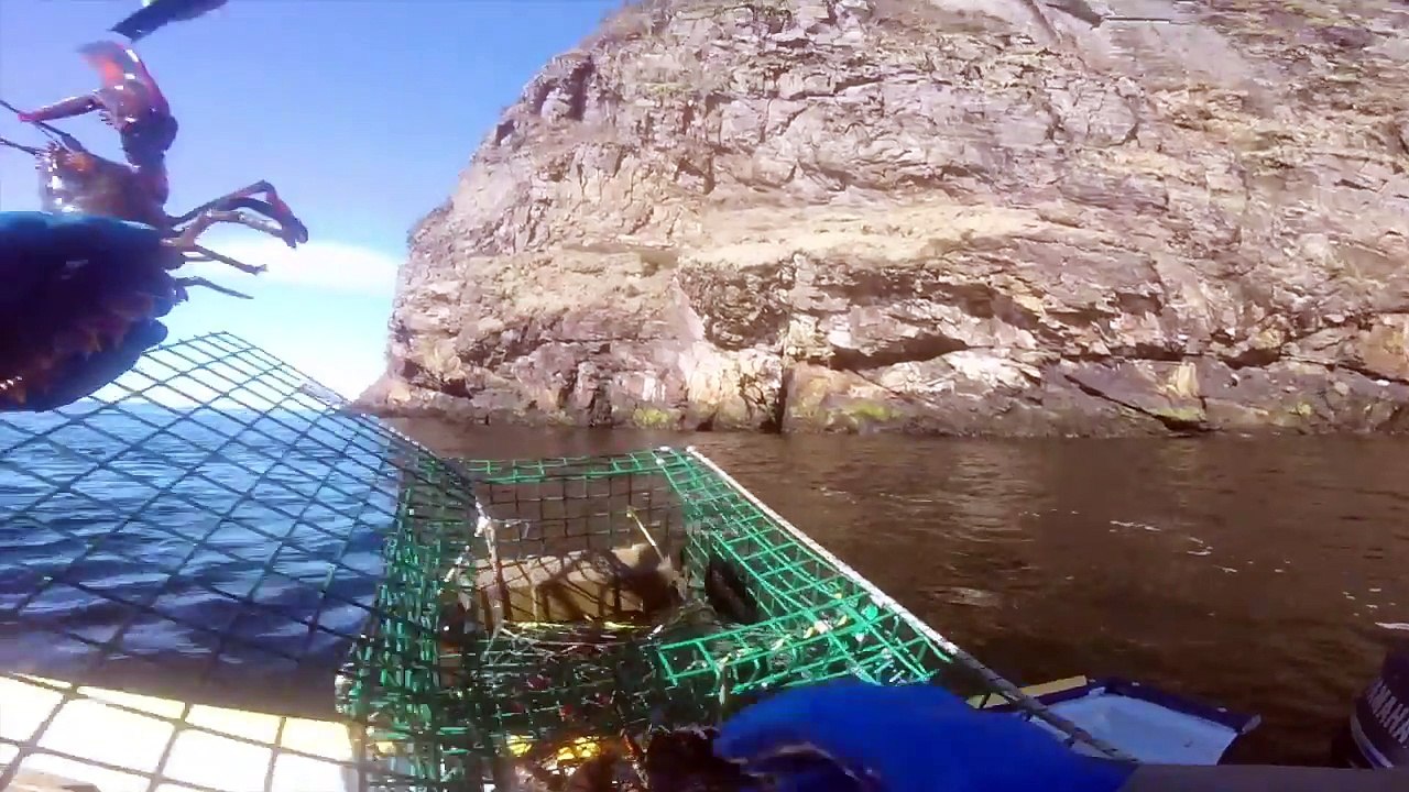 Lobster Fishing in McCallum