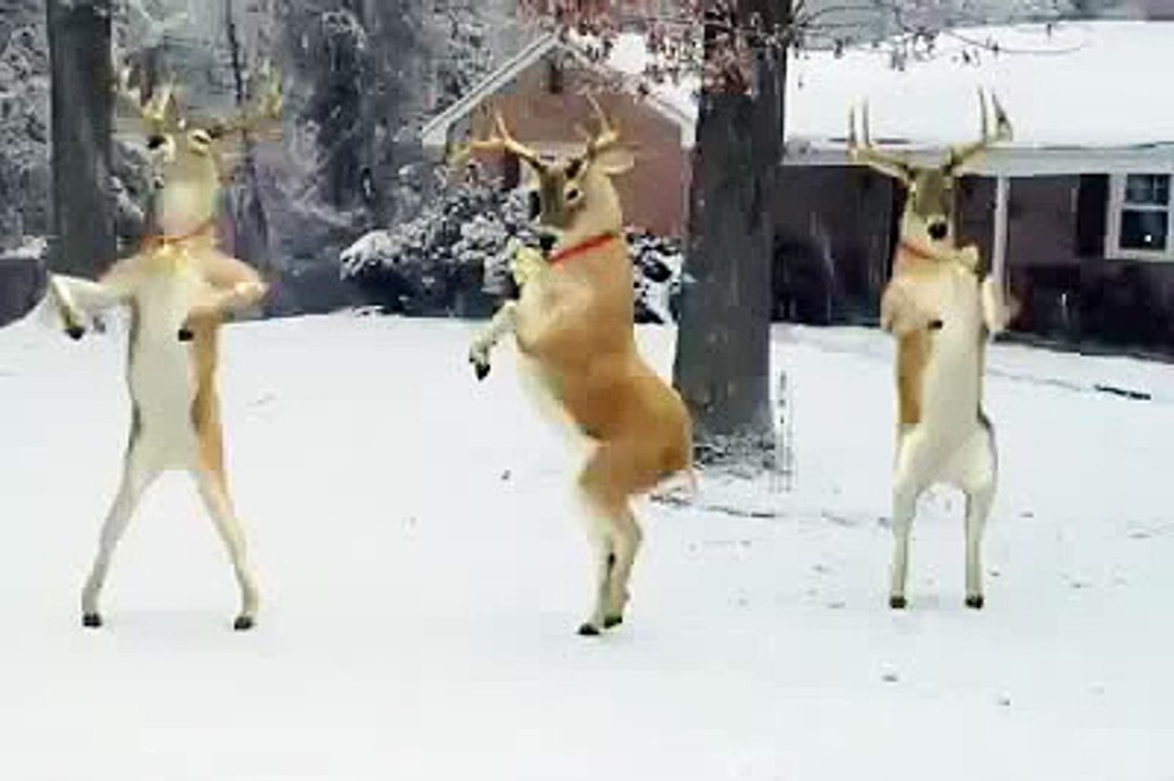 El vídeo más gracioso de navidad