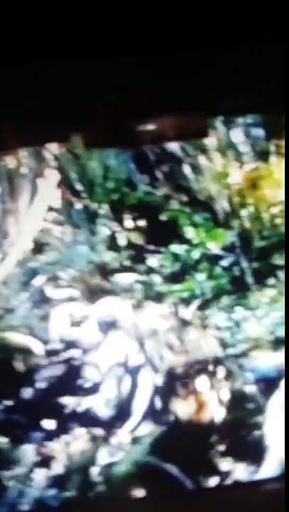 Arrival on Endor Star Wars Return of the Jedi original 720P