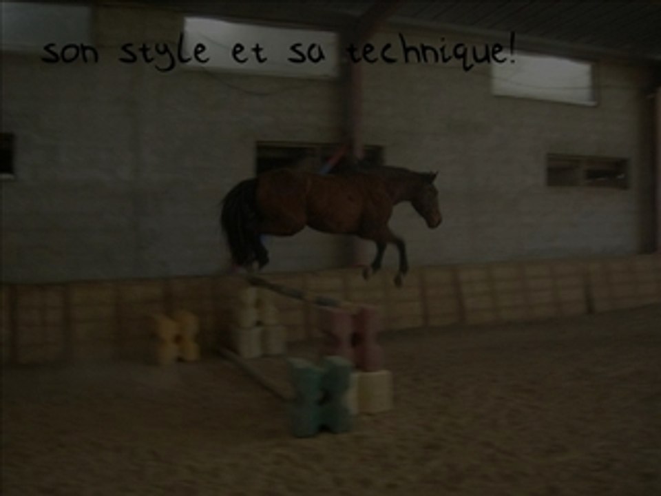 Reitor à l'obstacle