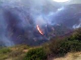 Des incendies de forêts ravagent la région d'Aokas (01/09/2011) (4)