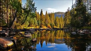 Yosemite Family Vacation -  Winter, Fall, Spring or Summer