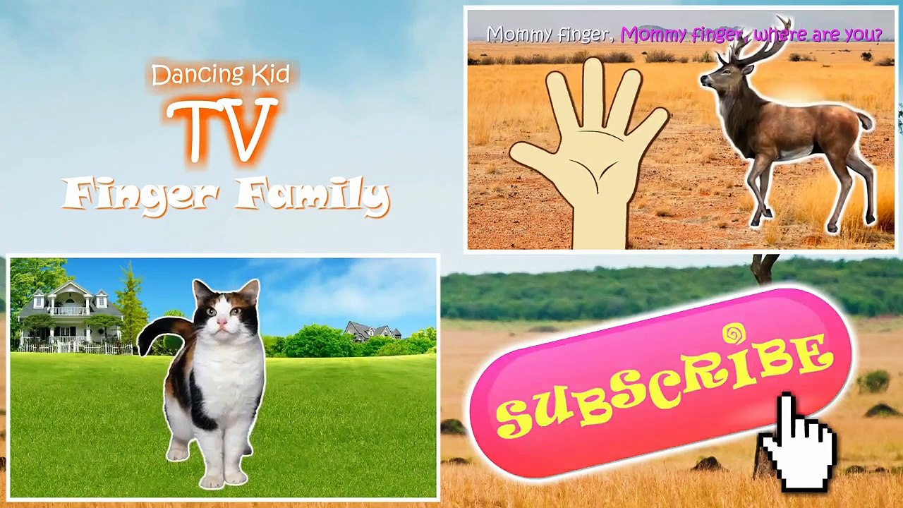 Africans Wild Animals Finger Family / Nursery Rhymes