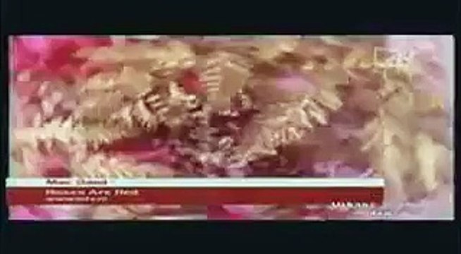 Mac Band - Roses & red