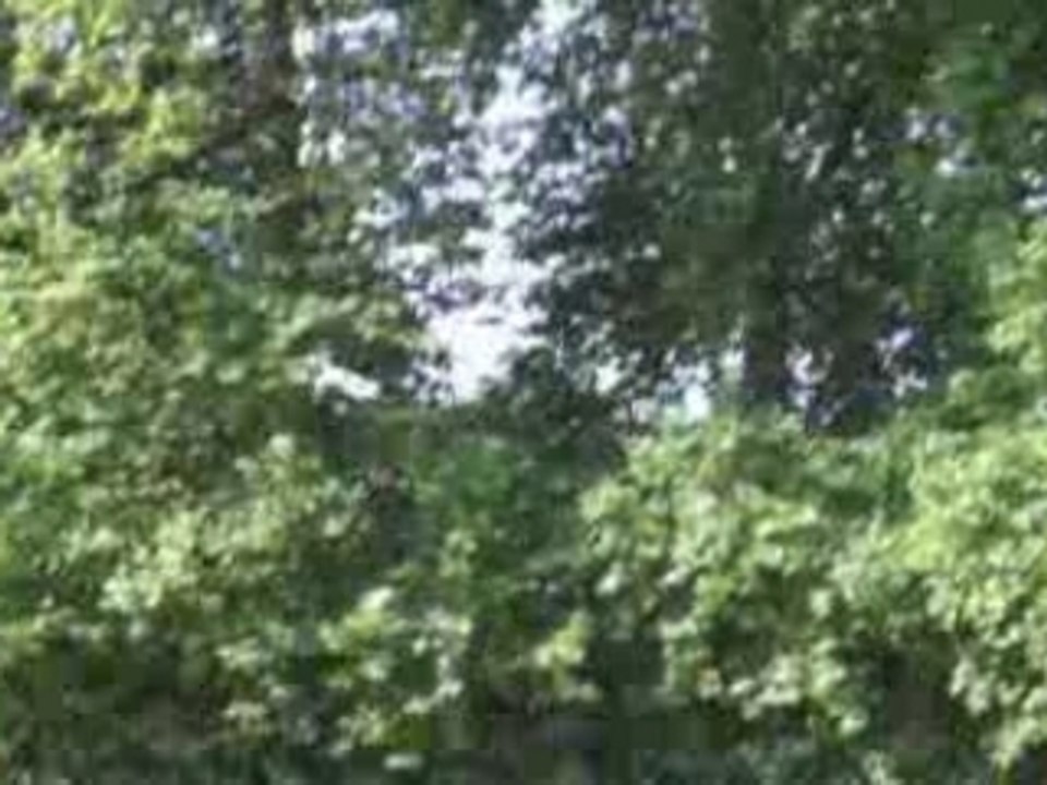 VTT