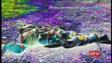 Imbestigador - August 20, 2016 Part 1