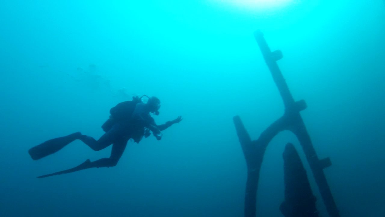 Plongée sur La Vandrée