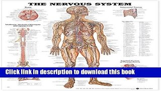 New Book The Nervous System Anatomical Chart