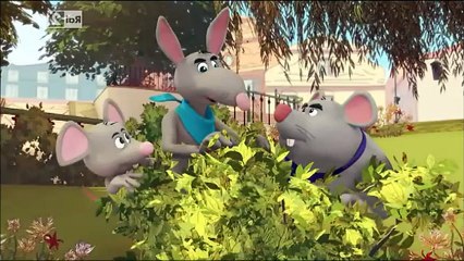 Calimero (terza serie) - 019 - La perla nera di Astrakat