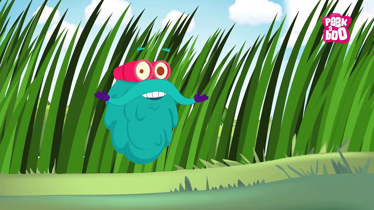 Excretion In Plants | The Dr. Binocs Show | Learn Videos For Kids