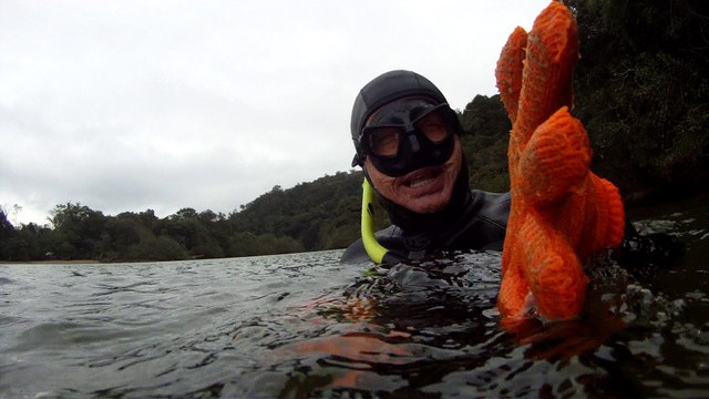 Passeio, mergulhando ao Paraíso Ecológico do Rio Puruba, Rio Quiririm, Litoral Norte de Ubatuba, Marcelo Ambrogi, São Paulo, Brasil, praias e mares