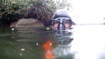 Passeio, mergulhando ao Paraíso Ecológico do Rio Puruba, Rio Quiririm, Litoral Norte de Ubatuba, Marcelo Ambrogi,  São Paulo, Brasil,  praias e mares