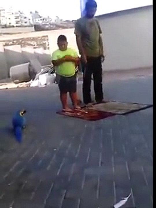 Çocuğa Namaz Kıldırmayan Papağan