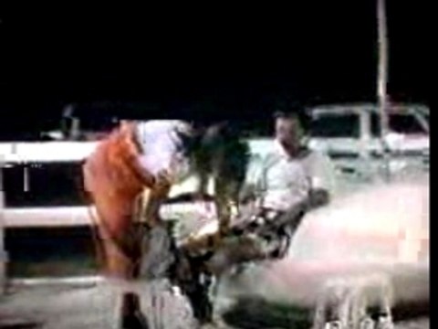 Patrizio saute d'une grue PAR PATRIZIO CONTI