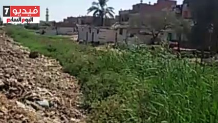 ورد النيل يطمس معالم مصرف المحيط فى بنى سويف