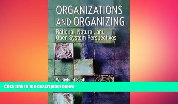 FREE PDF Organizations and Organizing: Rational, Natural and Open Systems Perspectives DOWNLOAD