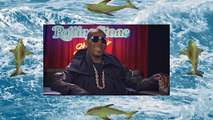 R. Kelly - Sex Wii Dolphin (remix)