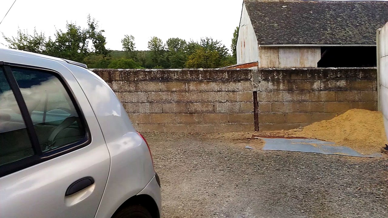 Ralenti sonde débranchée