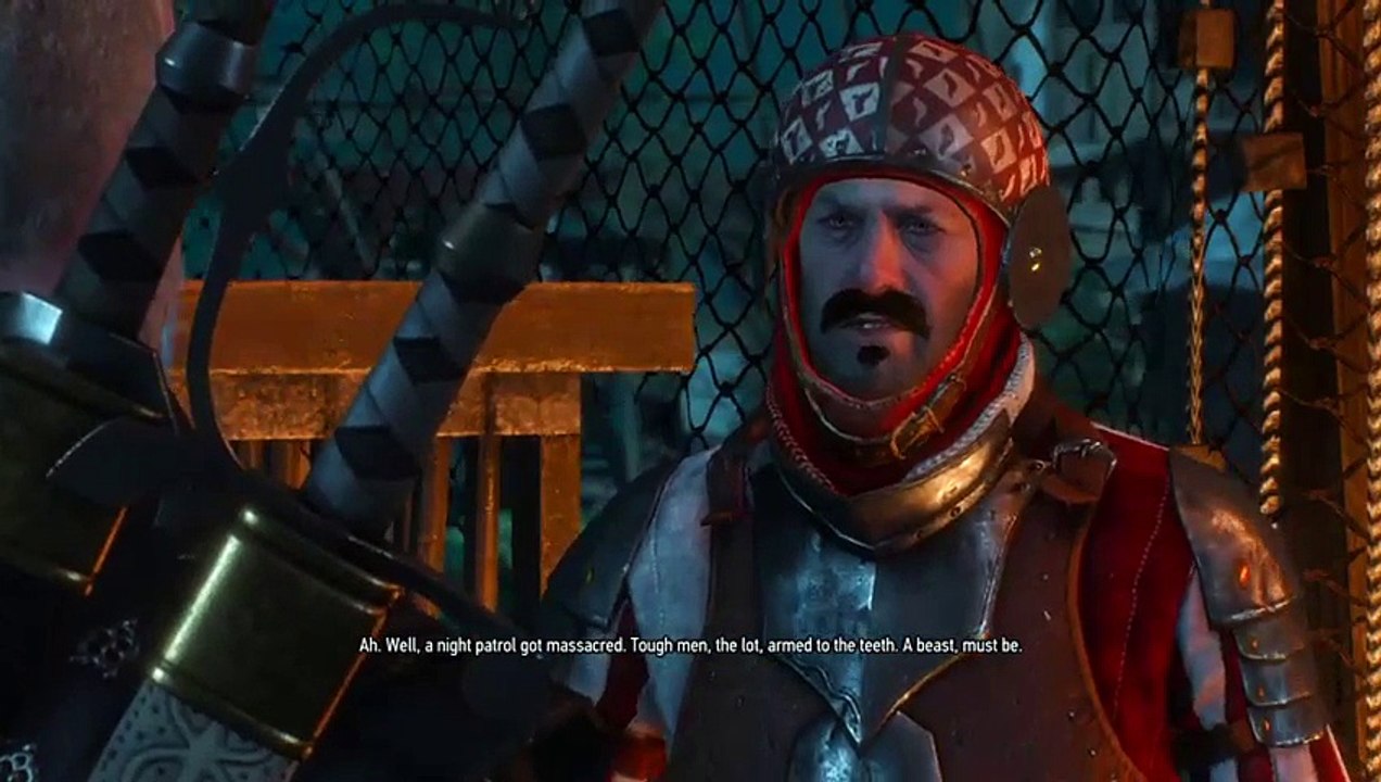 Witcher 3 noob (6)