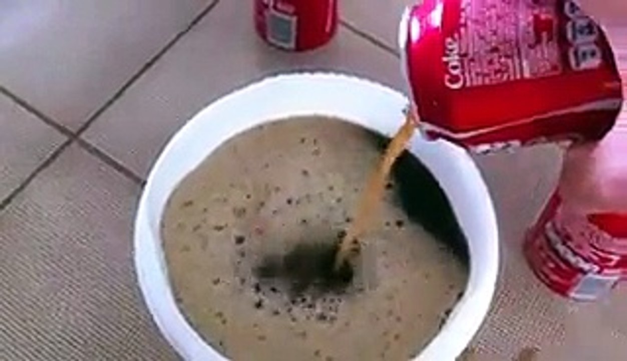 Un oeuf dans du coca pendant un ans