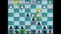 Chess Trap 12 (Against English Opening)