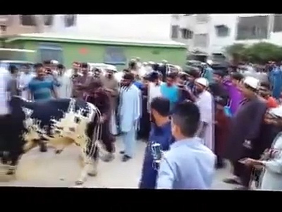 بیل نے شہر بھر میں تباہی مچادی