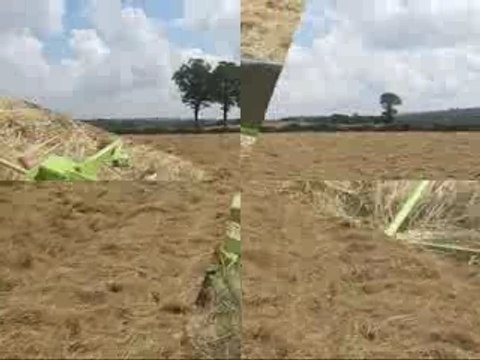 Fenaison 2007 Par Tony Fendt