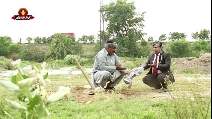 (1) Q K Jamhuriat Hai