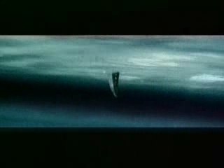 Publicité protection requins - environnement