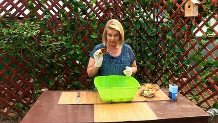 Как посадить на даче лесные грибы