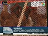 Venezuela: activan fondo productivo de agricultura urbana
