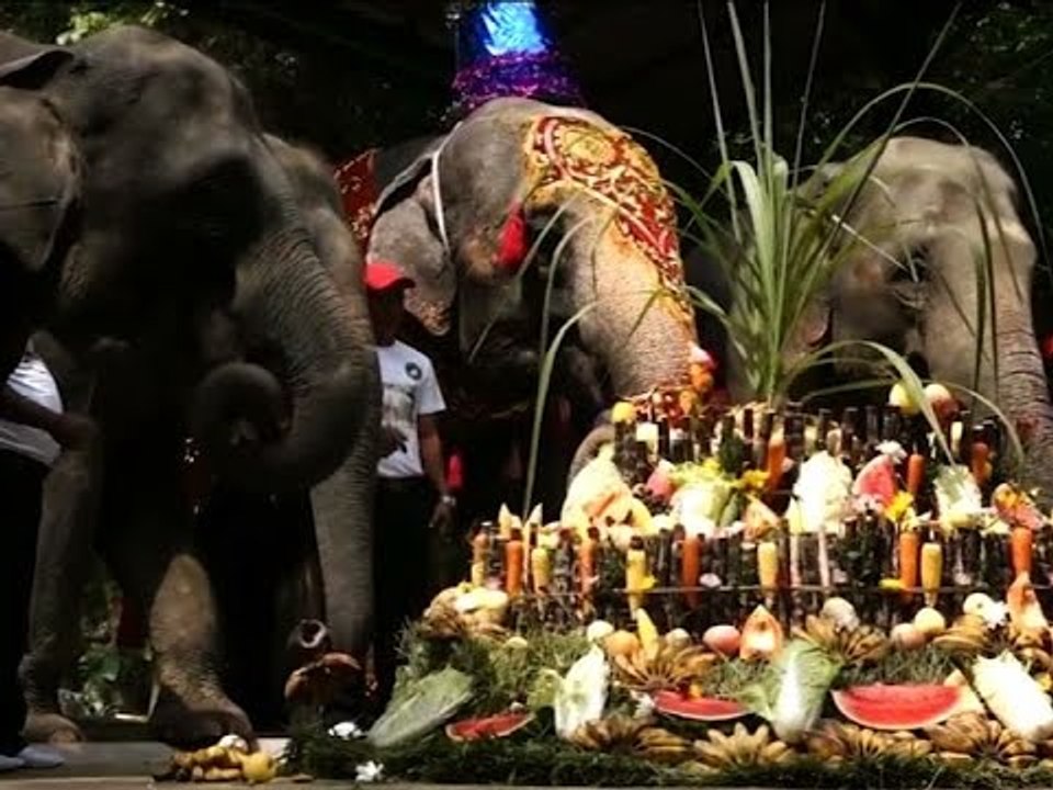 Birthday celebrations for Rangoon's largest resident