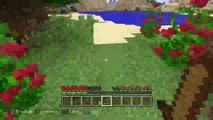DEFI MINECRAFT EP1 (77)