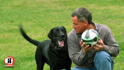 veterinario La comunicazione cane uomo