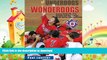 READ  Underdogs to Wonderdogs: Fresno State s Road to Omaha and the College World Series